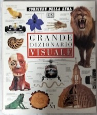 Libro grande dizionario usato  Portocannone