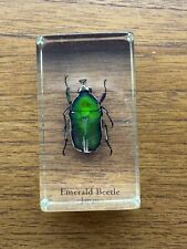 Emerald beatle japan for sale  WARRINGTON