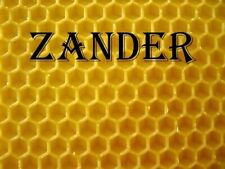 Zander 1kg mittelwände gebraucht kaufen  Waltenhofen
