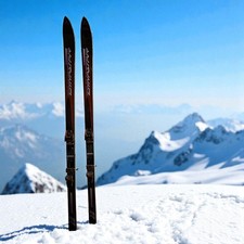 Dynastar carbon skis for sale  Bristow