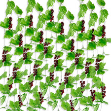 30pcs uva artificiale usato  Roma