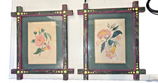 Hand colored botanical for sale  Houston