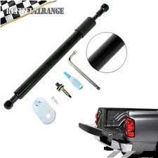 Tailgate assist shock for sale  Chino