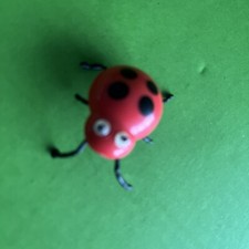 Small ladybird red for sale  BIRMINGHAM