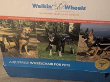 Medium large dog for sale  Columbia