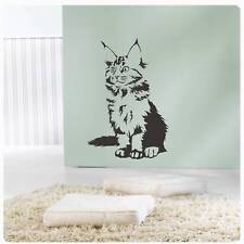 Katze maine coon gebraucht kaufen  Darmstadt