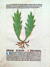 1485 inkunabel gart gebraucht kaufen  Frankfurt am Main