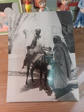 Vintage lloyd triestino usato  Bologna