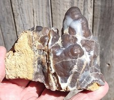 petrified wood stumps for sale petrified wood stumps for sale Hesperia