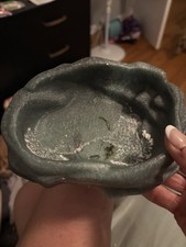 Reptile water dish for sale  Bowling Green