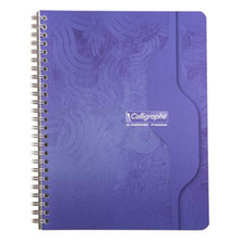 Clairefontaine ref 402c usato  Roccagloriosa