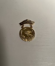 Pin NRA Sharpshooter qualificação tom dourado amuleto armas águia uniforme arma de fogo comprar usado  Enviando para Brazil