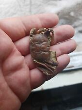 Jurassic era fossil for sale  Brocton
