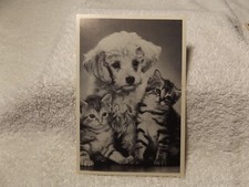Vintage card animal for sale  Grand Junction