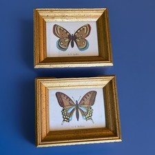 Vintage machaon apollon for sale  Chillicothe