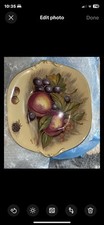 Aynsley orchard trays for sale  CAMBRIDGE
