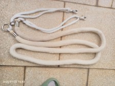 Pferde longierhilfe vb gebraucht kaufen  Selters