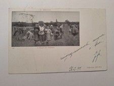 Cartolina 1901 breton usato  Cortona