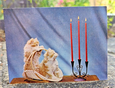 Vtg ginger cats for sale  ADDLESTONE