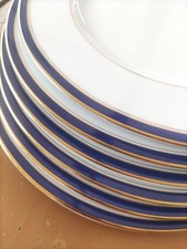 Assiettes plates porcelaine d'occasion  Puy-l'Évêque