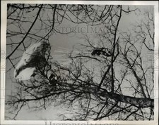 1941 press photo for sale  Memphis