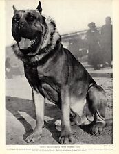 1930s vintage bordeaux d'occasion  Expédié en Belgium