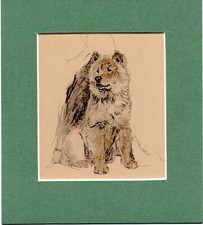 Usado, Cecil Aldin ~ Chow Chow ~ Estampa colorida genuína vintage 1935 comprar usado  Enviando para Brazil