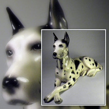 Erphila great dane for sale  Brooklyn