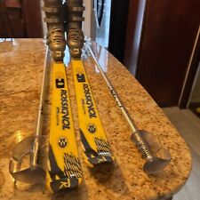 Rossignol 198 skis for sale  Berlin