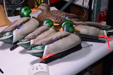 Avian topflight mallards for sale  East Bernstadt