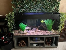 5ft fish tank for sale  LONDON