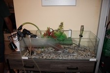 Acquario set deco usato  Imola
