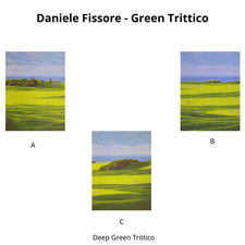 Daniele fissore deep usato  Torino