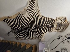 zebrateppich gebraucht kaufen  Herbolzheim