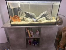 110 litre fish for sale  UK