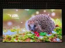 Oled oled65c3pua series for sale  Olathe