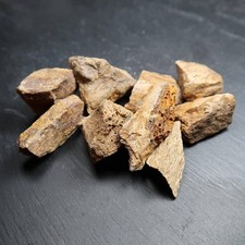 Woolly mammoth bone for sale  LEICESTER