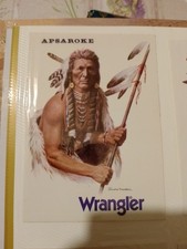 Adesivo wrangler apache usato  Zenson di Piave