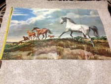 Anatomy horse poster for sale  Pittsburgh