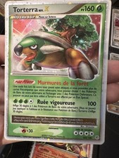 Carte pokemon torterra d'occasion  Pontoise