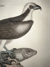 Antique engraving pl. for sale  Lanexa