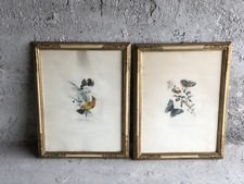 Coppia quadri cornici usato  Ravenna