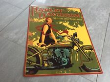 Rarität harley einzigart gebraucht kaufen  Deutschland