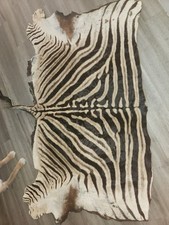 African zebra skin for sale  Glendale