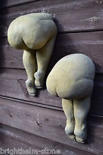 Pair cheeky big for sale  HORSHAM