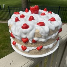 1981 strawberry shortcake for sale  Farmington