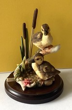 Country artists ducklings for sale  KING'S LYNN