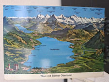 bernese usato bernese usato Roma