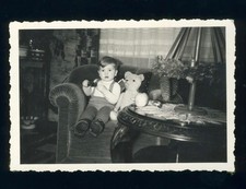 Spielzeug teddybär foto gebraucht kaufen  Frankfurt am Main