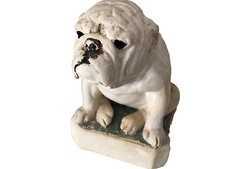 Bull dog signed for sale  KINGSBRIDGE